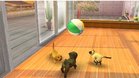 Images et photos Nintendogs + Cats - Bouledogue Francais & Ses Nouveaux Amis