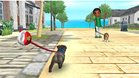 Images et photos Nintendogs + Cats - Bouledogue Francais & Ses Nouveaux Amis