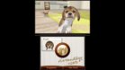 Images et photos Nintendogs + Cats - Bouledogue Francais & Ses Nouveaux Amis