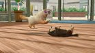 Images et photos Nintendogs + Cats - Golden Retriever & Ses Nouveaux Amis