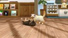 Images et photos Nintendogs + Cats - Golden Retriever & Ses Nouveaux Amis