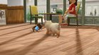 Images et photos Nintendogs + Cats - Golden Retriever & Ses Nouveaux Amis