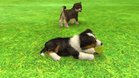 Images et photos Nintendogs + Cats - Golden Retriever & Ses Nouveaux Amis