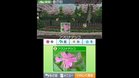Images et photos Flower 3DS