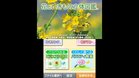 Images et photos Flower 3DS