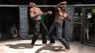 Images et photos Supremacy MMA