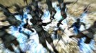 Images et photos Dynasty Warriors VS