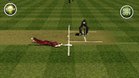 Images et photos Brian Lara 2007 Pressure Play