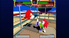 Images et photos Sonic the Fighters