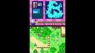 Images et photos Bomberman Story DS