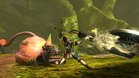 Images et photos Monster Hunter 4