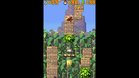 Images et photos Donkey Kong Jungle Climber