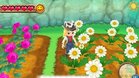 Images et photos Harvest Moon : A New Beginning