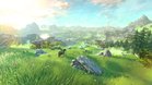 Images et photos The Legend of Zelda Wii U