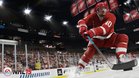 Images et photos NHL 15