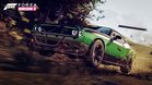 Images et photos Forza Horizon 2