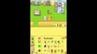 Images et photos Harvest Moon DS Cute