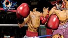 Images et photos Victorious Boxers Challenge