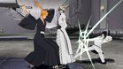 Images et photos Bleach Heat The Soul 5