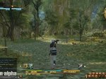 Un peu de récolte et d'artisant dans cette vidéo de Final Fantasy 14 : A Realm Reborn