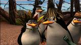 Vido Madagascar 2 : Crate Escape | Vido #5 - Les pingouins