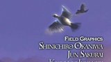 Vido Final Fantasy 9 | Final Fantasy IX Video