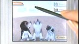 Vidéo Nintendogs | Vidéo #2 - Viens ici, Foulcan