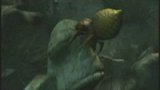 Vido Oddworld : La Fureur De L'tranger | Vido #8 - En franais dans le texte