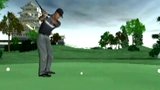 Vido Tiger Woods PGA Tour 2005 | Le tigre aussi sur PSP