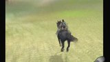 Vido Shadow Of The Colossus | Sora et la Walkthrougtation de Shadow of the Colos