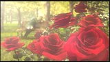 Vido Rule Of Rose | Vido #6 - Trailer