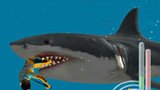 Vido Jaws : Les Dents De La Mer | VidoTest - Kvin sort les dents sous l'eau