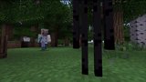 Vido Minecraft | La mise  jour 9