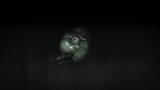 Vido Soul Sacrifice Delta | Annonce de la dmo