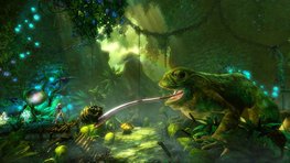 Une vido ferique pleine de gros insectes pour Trine 2