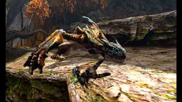 Monster Hunter 4 se dvoile toujours plus dans cette nouvelle vido