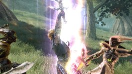 Présentation Divinity 2 : Ego Draconis