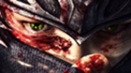 Ninja Gaiden 3