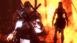 Viking : Battle For Asgard sort aujourd'hui sur PC et fte sa sortie en vido