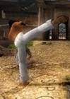 Martial Arts : Capoeira