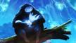 Ori And The Blind Forest dat sur PC et Xbox One