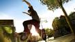 Skate 2