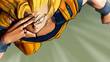 Dragon Ball Z : Budokai Tenkaichi
