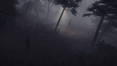 Long Night, le survival ind pour le 7 juillet sur PC