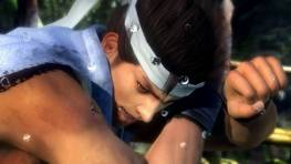 Dead Or Alive 5 en vido, Akira Yuki (Virtua Fighter) sera de la partie !