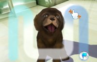 Dogz Wii Dogz Wii
