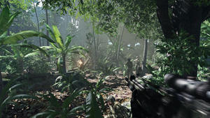 Crysis Crysis