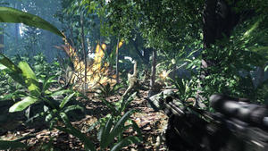 Crysis Crysis